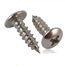 Customized Nickl Plated Carbon Steel Hardware Screws